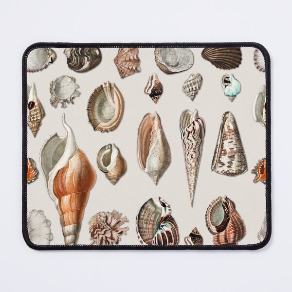 Item preview, Vintage Seashells Mollusc Marine Beach Snail Shell    designed and sold by Gsallicat.