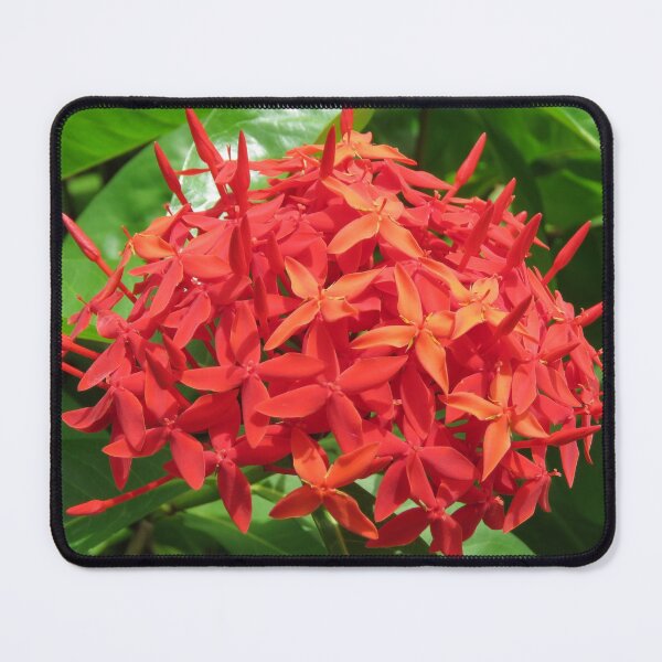 Item preview, Red Penta designed and sold by TammieE.