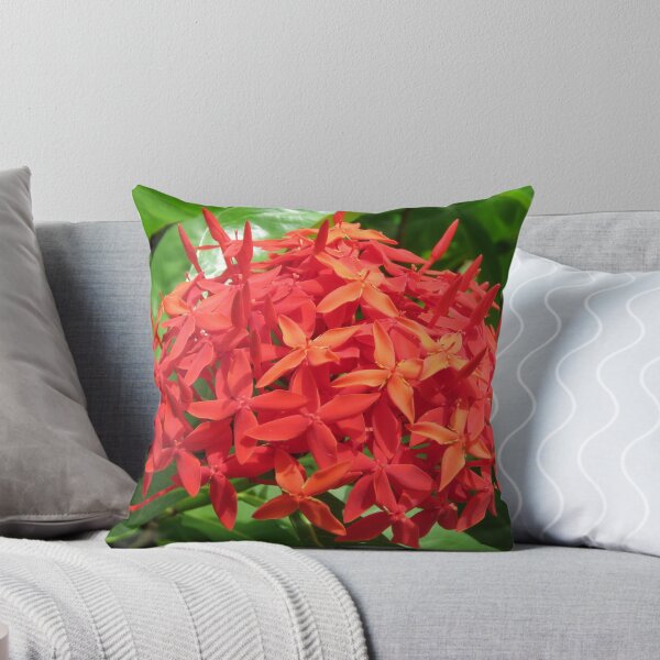 Item preview, Red Penta designed and sold by TammieE.