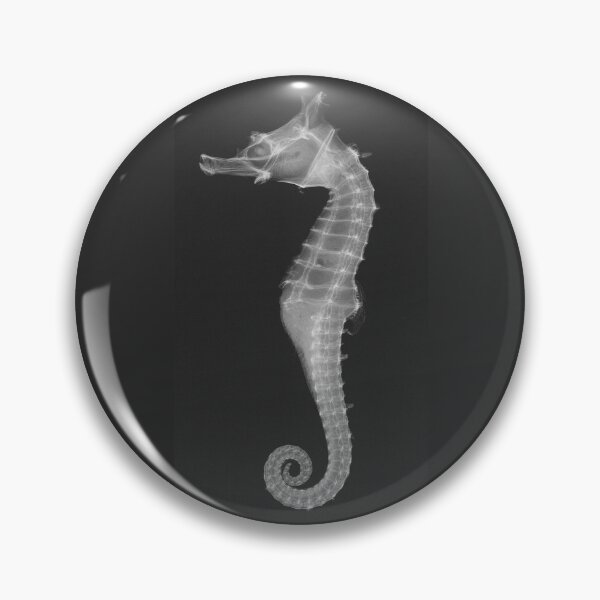 Item preview, X-ray of a Seahorse   designed and sold by Amanda1775.