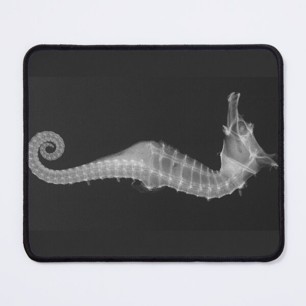Item preview, X-ray of a Seahorse   designed and sold by Amanda1775.