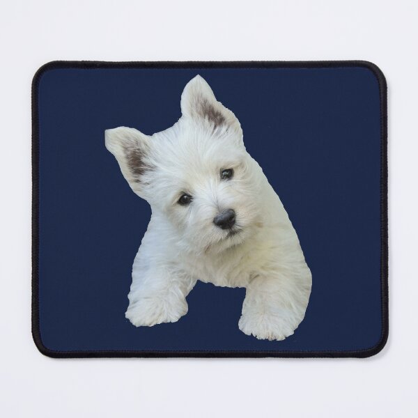 West Highland White Terrier Puppy portrait 3 Mouse Pad