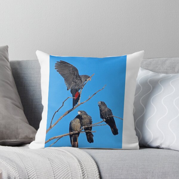 Item preview, Red-tailed cockatoo family living life designed and sold by margowen.