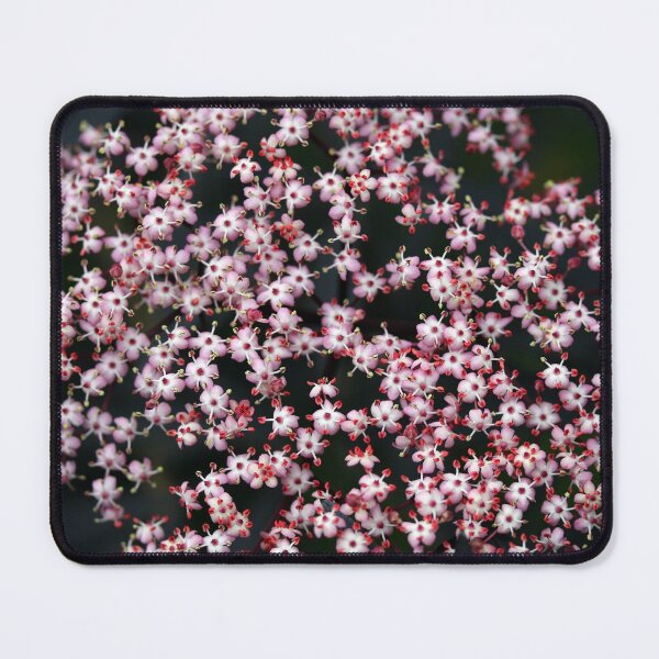 Flowers of the Sambucus nigra Mouse Pad