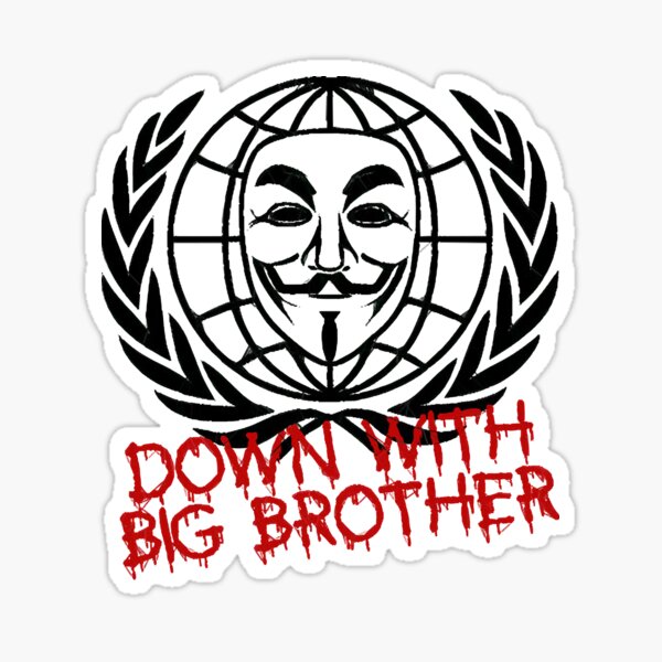 down-with-big-brother-sticker-for-sale-by-cariannakolmetz-redbubble