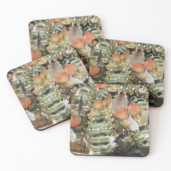 Item preview, Fresh Lobster designed and sold by Marylou Badeaux.