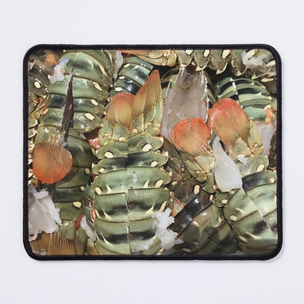 Item preview, Fresh Lobster designed and sold by Marylou Badeaux.