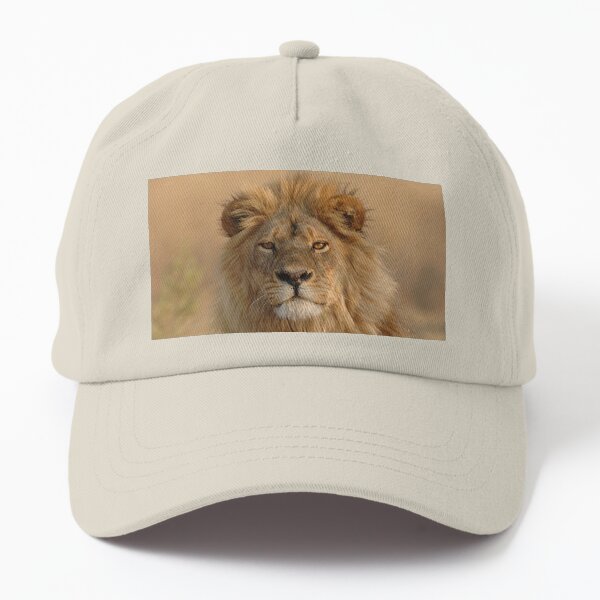 Male Lion staring Dad Hat
