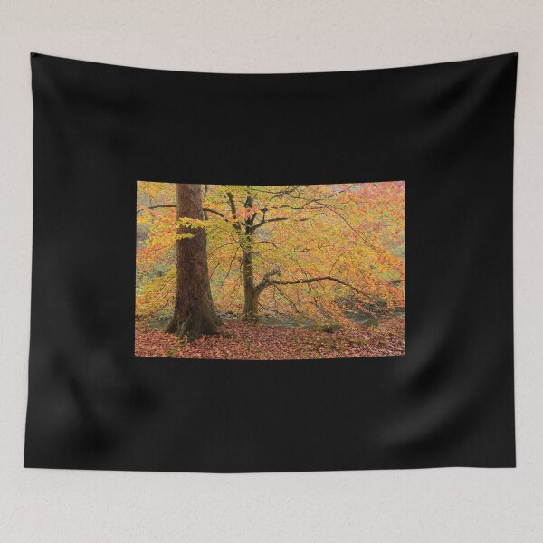 Item preview, Autumn at Brock Bottom designed and sold by Alex johnson Landscape Photography.