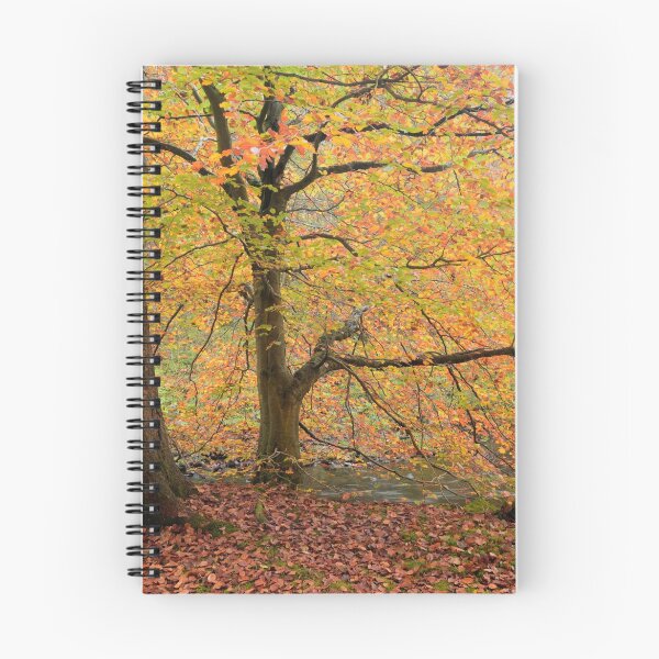 Item preview, Autumn at Brock Bottom designed and sold by Alex johnson Landscape Photography.
