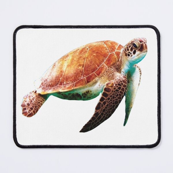 Item preview, Aquatic Turtle designed and sold by BlessingDirect.