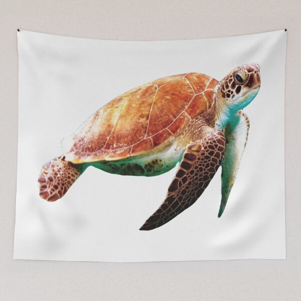 Item preview, Aquatic Turtle designed and sold by BlessingDirect.