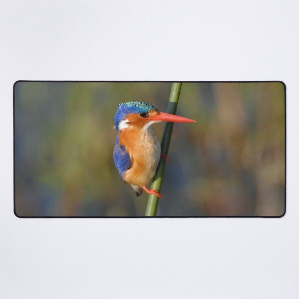 Malachite Kingfisher Desk Mat