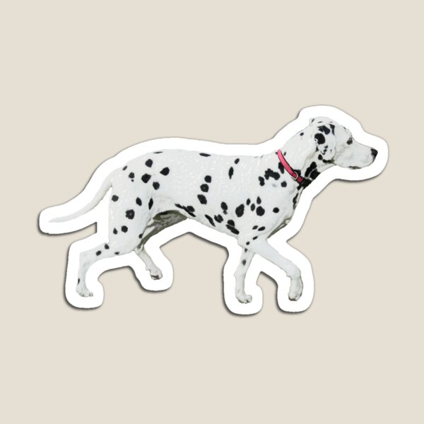 Stripes and spots Magnet