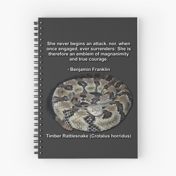 Item preview, Timber Rattlesnake designed and sold by Paul-Prints.