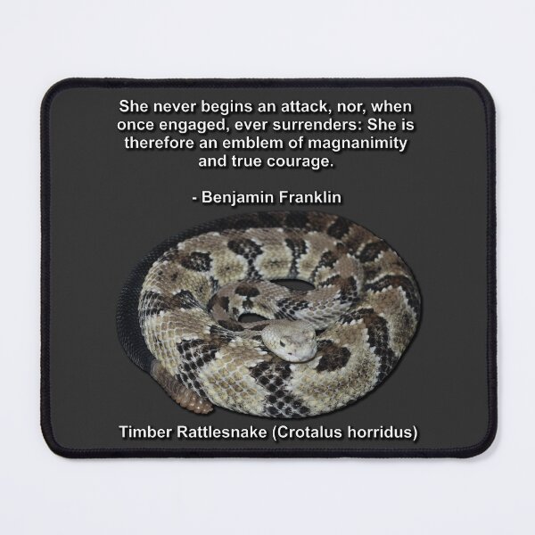 Item preview, Timber Rattlesnake designed and sold by Paul-Prints.