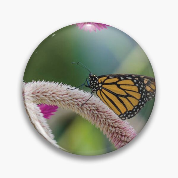 Item preview, Close Up Of Monarch Butterfly designed and sold by sandyholly.