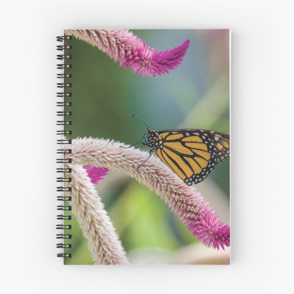 Item preview, Close Up Of Monarch Butterfly designed and sold by sandyholly.