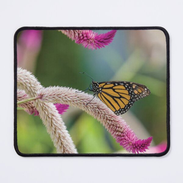 Item preview, Close Up Of Monarch Butterfly designed and sold by sandyholly.
