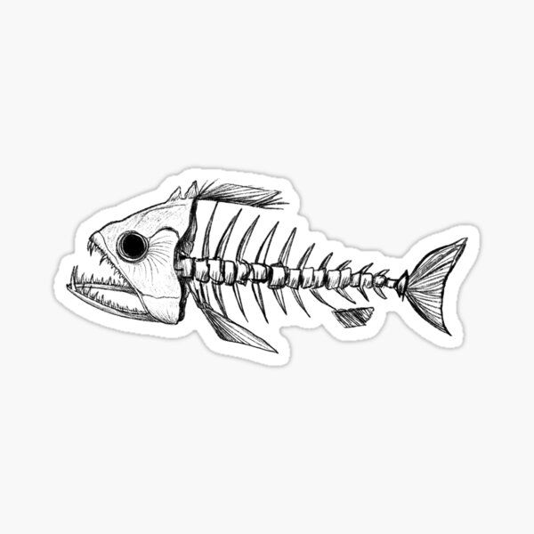 fish skeleton artwork