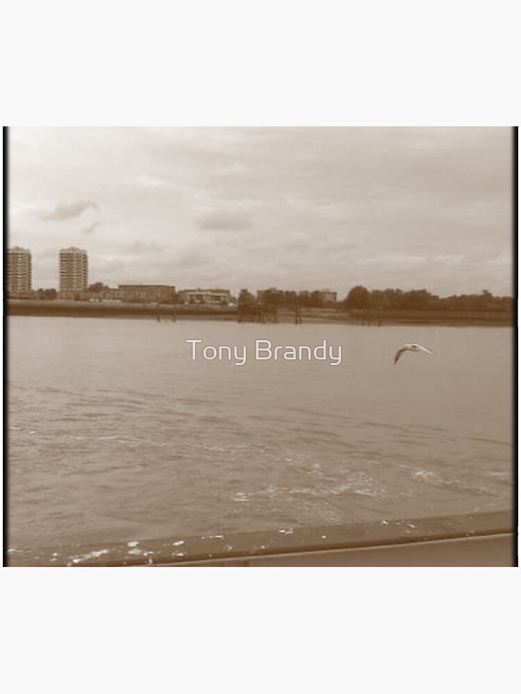 Woolwich Ferry 0101 by anthonyx00