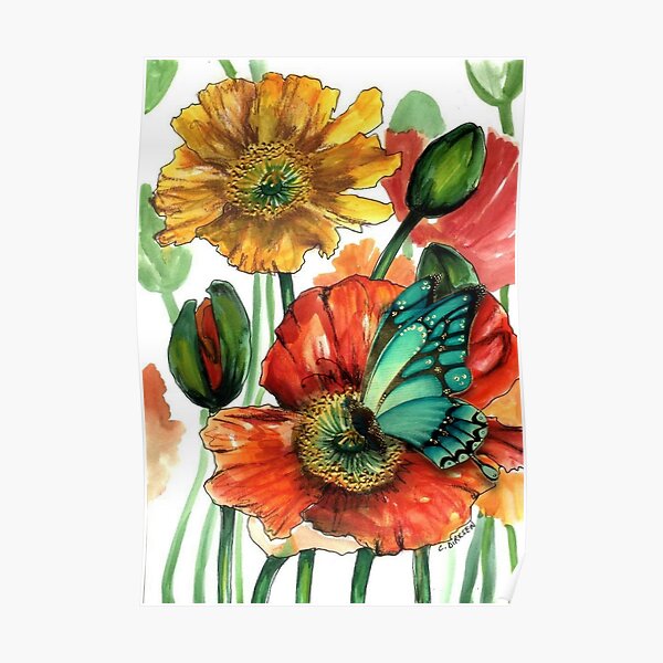 Iceland Poppies with Blue Butterfly Poster