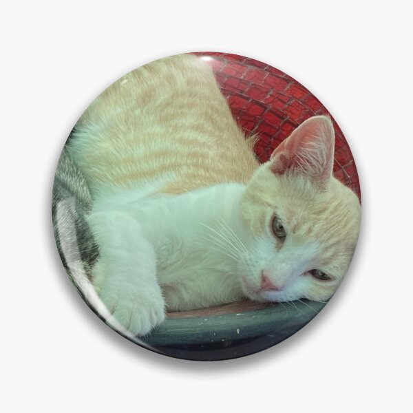 Item preview, Kitten life in the lounging bowl designed and sold by oojagapivy.