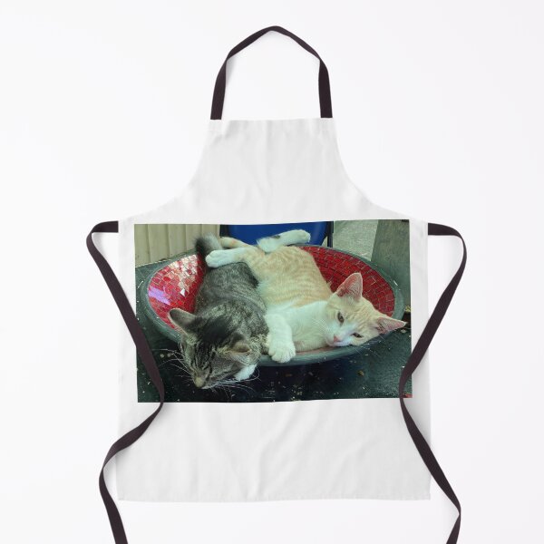 Item preview, Kitten life in the lounging bowl designed and sold by oojagapivy.