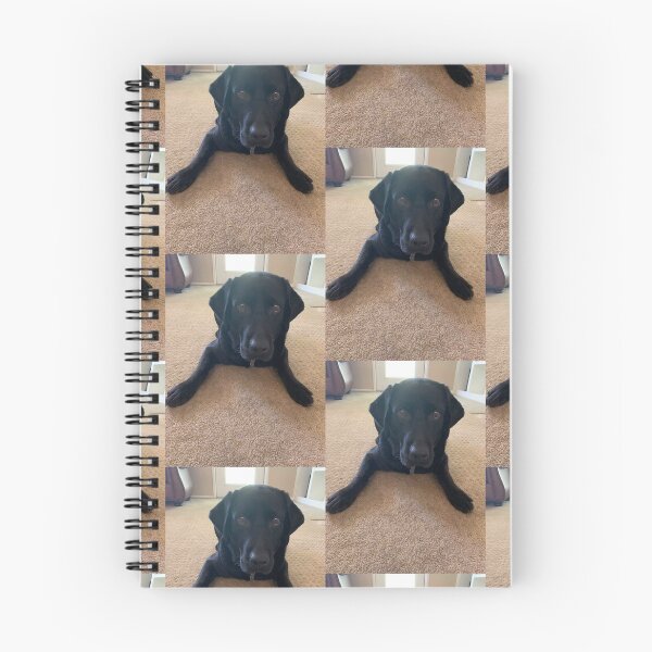 Item preview, black lab black lab designed and sold by LittleBirdInk.