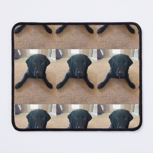 Item preview, black lab black lab designed and sold by LittleBirdInk.