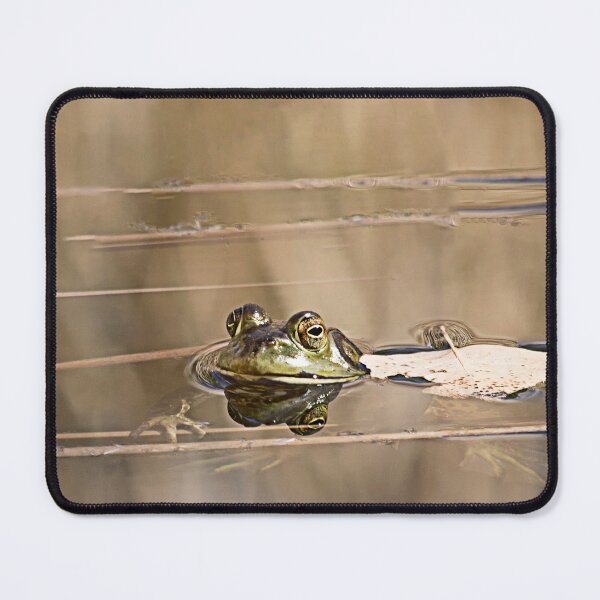 Item preview, Morning Frog designed and sold by Elisabeth Lucas.