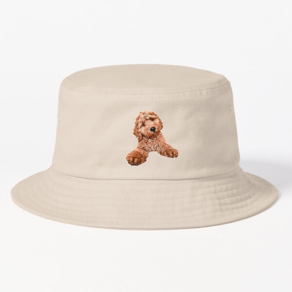 Aperçu de l'œuvre Mélange Cavapoo Labradoodle Goldendoodle Caniche créée et vendue par Elarex.