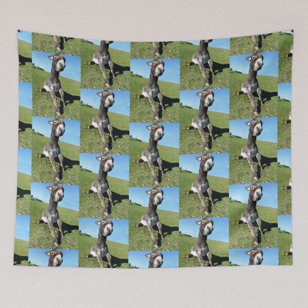Item preview, Master Joey designed and sold by Rubyblossom.