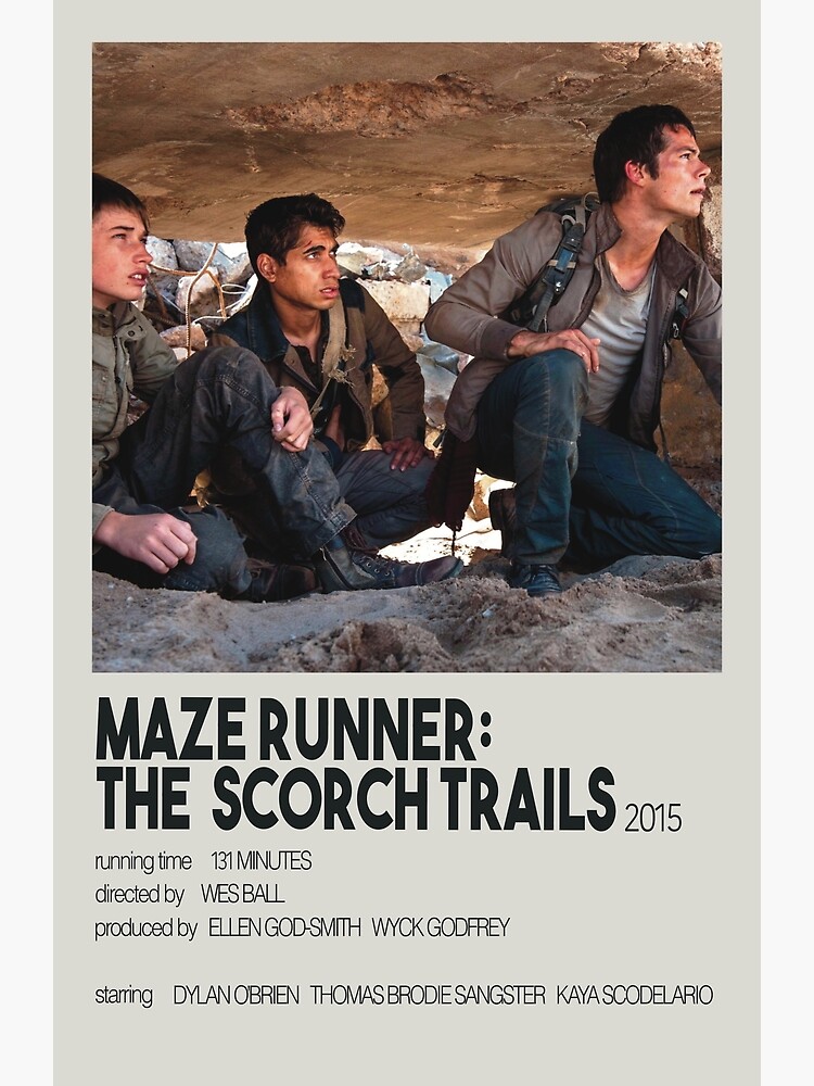 The Maze Runner: Movie Poster Poster for Sale by runnerdemigod