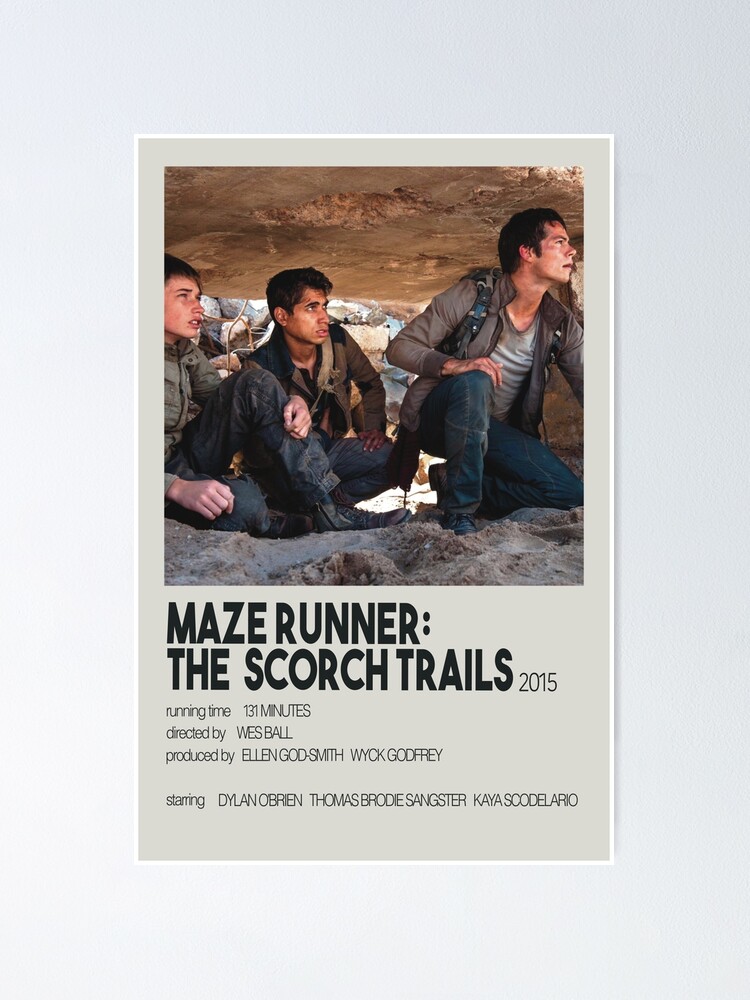 The Maze Runner: Movie Poster Poster for Sale by runnerdemigod