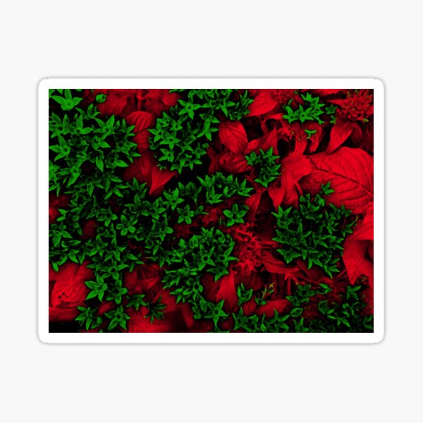 Item preview, Green & Red  by Iritof designed and sold by iritof.