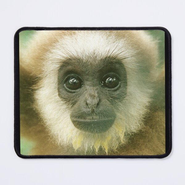 Baby White-handed Gibbon Mouse Pad