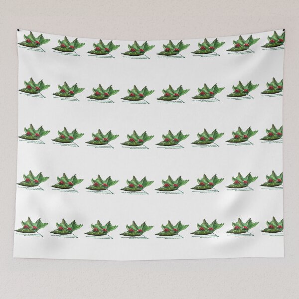 Item preview, Ladybird wisdom designed and sold by davidfraser.