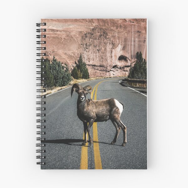 Item preview, Colorado Bighorn Sheep On the Road designed and sold by JoyforU.