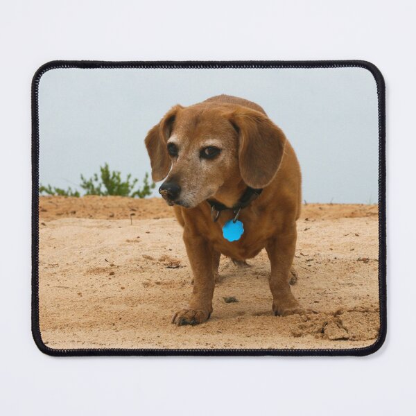Item preview, Daschund Side Eye designed and sold by orangelikejazz.