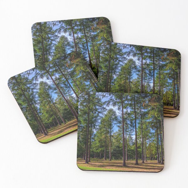 Item preview, English Pine woodland designed and sold by Dalyndigital Photography.