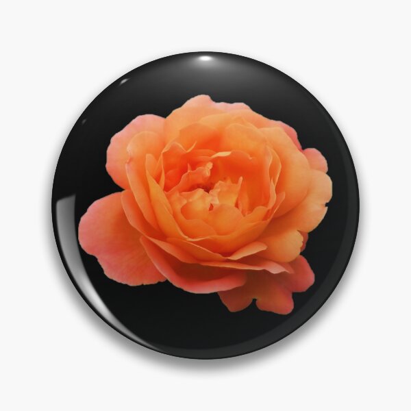 Item preview, Orange Halloween Rose Dot designed and sold by DrMcFlowerFace.