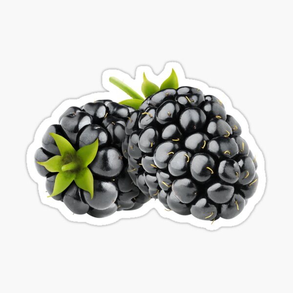 Item preview, Blackberries designed and sold by 6hands.