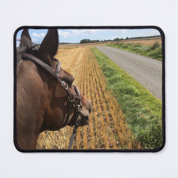 Item preview, Bitless riding over fields on a sunny summer day designed and sold by Lady-Frost.