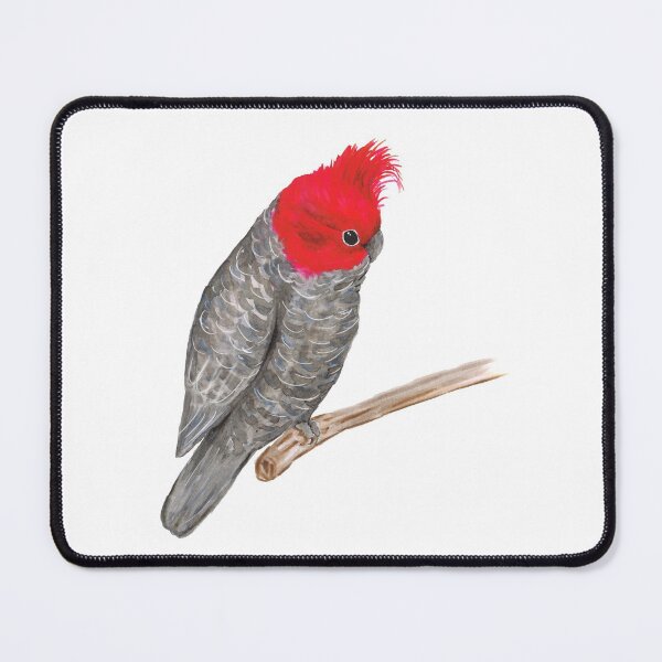 Item preview, Gang gang cockatoo designed and sold by Bwiselizzy.