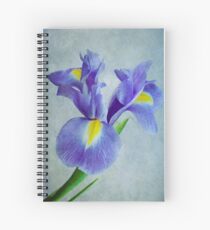 Pretty Blue Spiral Notebook