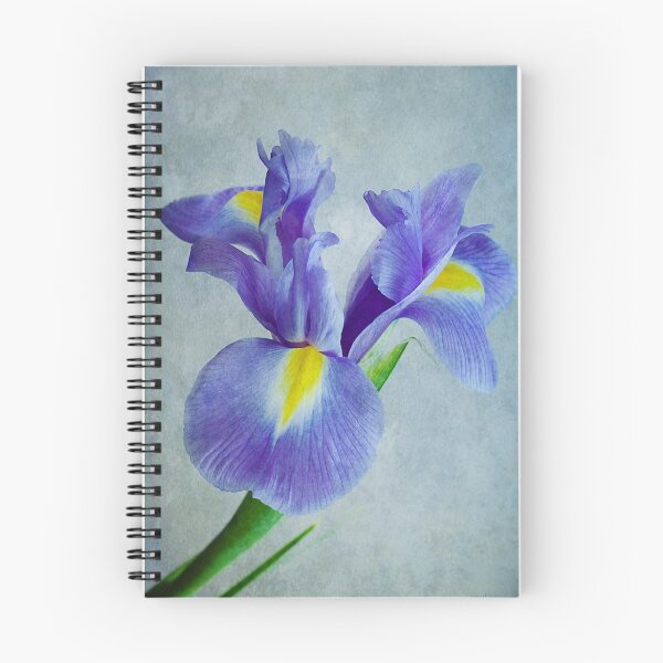 Item preview, Pretty Blue  designed and sold by OpalFire.