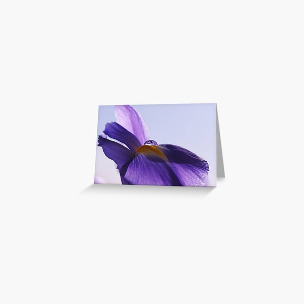 Iris Water Droplet Greeting Card