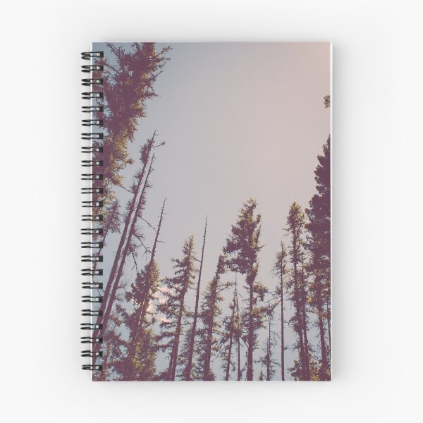 Aperçu de l'œuvre Treetops de forêt créée et vendue par jessica-torres.