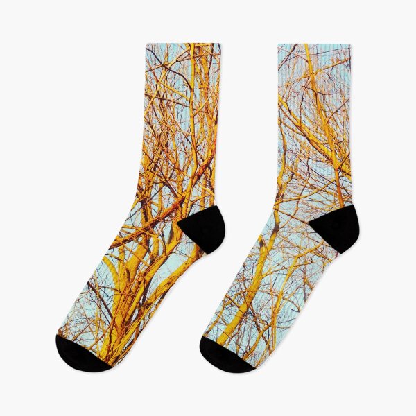 Item preview, Copy of Bare winter trees twisting and bending against the background of the blue cloudless sky  designed and sold by helenkaiy.
